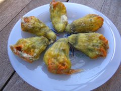 Zucchini blossoms stuffed with cracked wheat