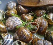 Fried snails from Crete