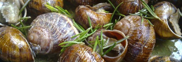 Fried snails from Crete